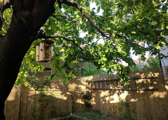 Cseresznyes * Balatonalmadi